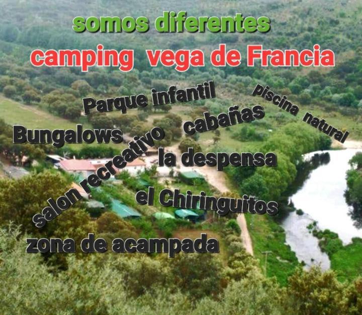 Bungalows, Camping Vega De Francia Sotoserrano 外观 照片